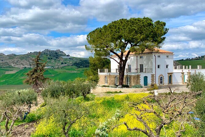 Palermo Private MINITOUR of WEST SICILY 4 Days with Guide Driver - Day 3: Selinunte’s big scale and Castelvetrano olive oil